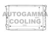 VOLVO 1271254 Radiator, engine cooling